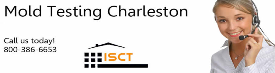 Mold Testing and Mold Inspection Charleston